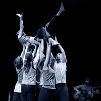 impro opt